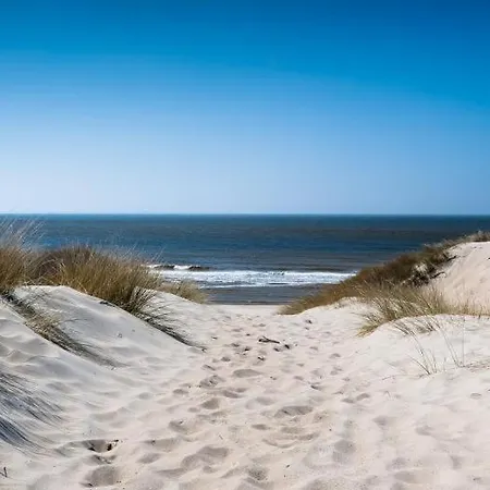 Luxury 310 - Adults Only Daire *